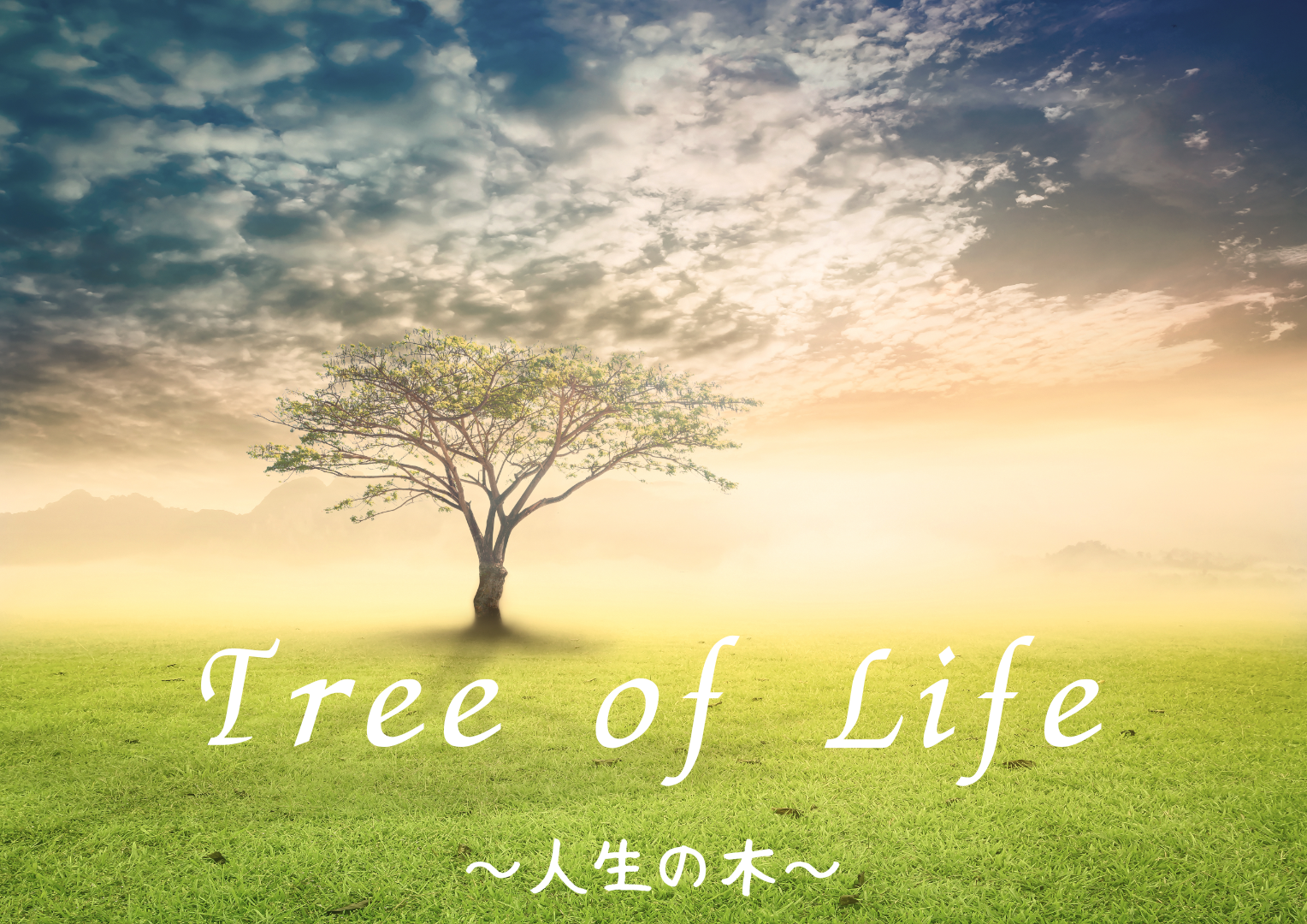 Tree of Lifeセッションで、人生をかたちづくる